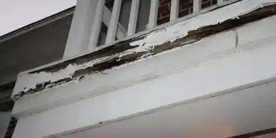 Moisture Repairs